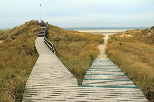 Strand