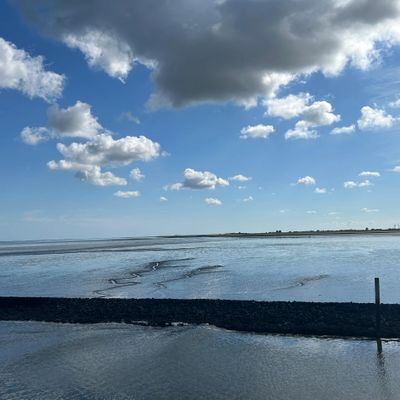 Foto 42 Ferienwohnung Ostfriesland Norddeich & Umgebung Osterhuus (Objekt 66623) suchen