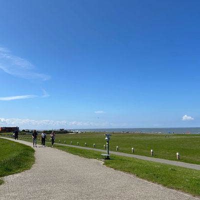 Foto 44 Ferienwohnung Ostfriesland Norddeich & Umgebung Osterhuus (Objekt 66623) Urlaub