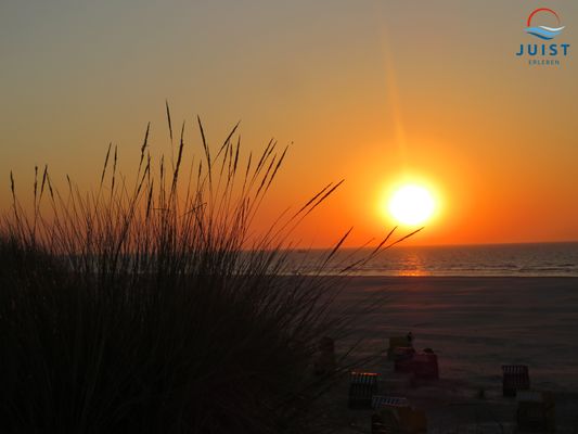 Foto 16 Ferienwohnung Ostfriesland Juist Kachelothuus 189 - Wohnung 1 (Objekt 66825) buchen