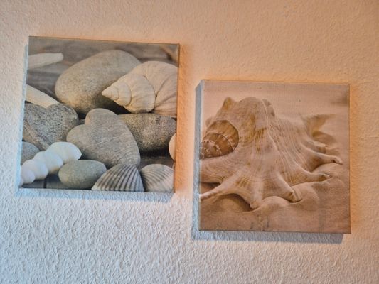 Foto 12 Ferienhaus Ostfriesland Norddeich & Umgebung Ferienhaus Pelikan (Objekt 66891) suchen