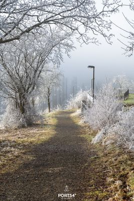 Landschaft