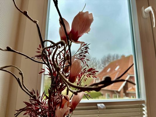 Foto 17 Ferienwohnung Ostfriesland Carolinensiel FeWo Nordseeglück - Carolinensiel (Objekt 67391) suchen
