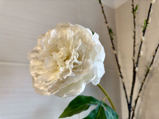 Foto 18 Ferienwohnung Ostfriesland Carolinensiel FeWo Goldene Linie - Carolinensiel (Objekt 26327) Nordsee