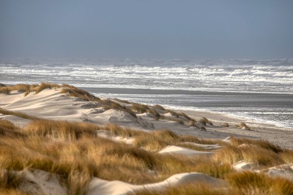 Foto 8 Ferienwohnung Ostfriesland Juist Sonnengruß (Objekt 95803) Nordsee