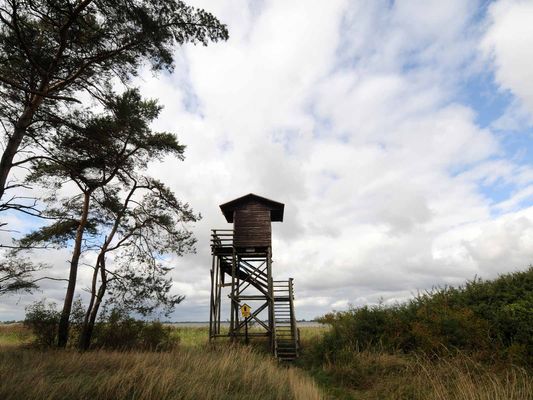 Landschaft