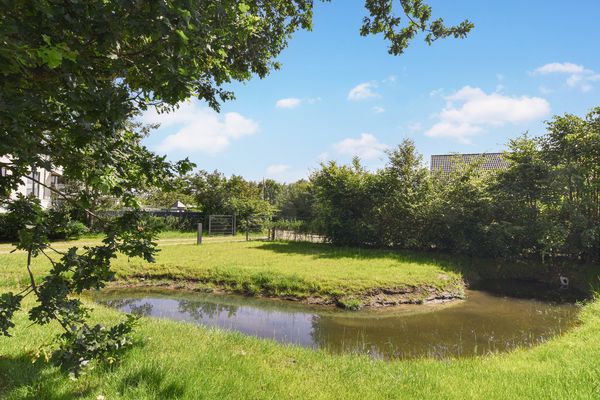 Gartenblick