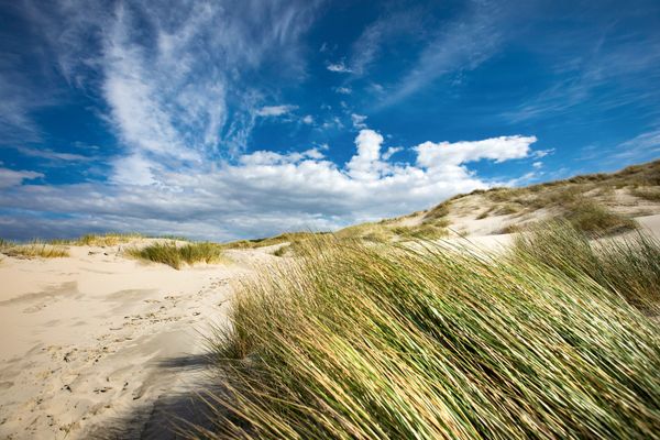 Foto 22 Ferienwohnung Ostfriesland Juist Dünenstraße 38 - Dünenzeit Juist (Objekt 95796) suchen