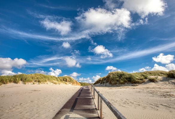 Foto 23 Ferienwohnung Ostfriesland Juist Dünengras (Objekt 95816) Nordsee