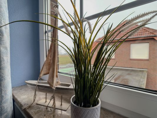 Foto 12 Ferienwohnung Ostfriesland Friesland FeWo Entennest - Horumersiel (Objekt 27555) suchen