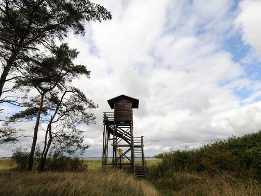 Landschaft