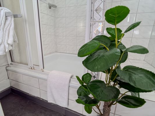 Foto 16 Ferienwohnung Ostfriesland Friesland FeWo Wattwurm - Horumersiel (Objekt 74970) buchen