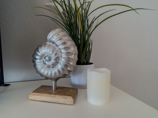 Foto 10 Ferienwohnung Ostfriesland Friesland FeWo Meerblick - Schillig (Objekt 26241) Reise