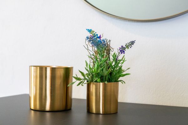 Foto 9 Ferienhaus Ostfriesland Norddeich & Umgebung Ferienhaus Larinae (Objekt 75070) Urlaub