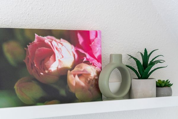 Foto 26 Ferienhaus Ostfriesland Norddeich & Umgebung Ferienhaus Larinae (Objekt 75070) buchen