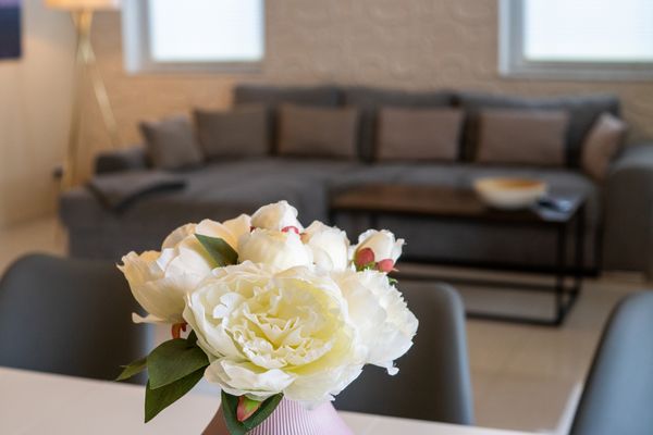 Foto 7 Ferienhaus Ostfriesland Norddeich & Umgebung Ferienhaus Larinae (Objekt 75070) suchen