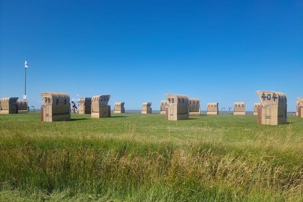 Landschaft, Nordseeglück Cappel, Wurster Küste