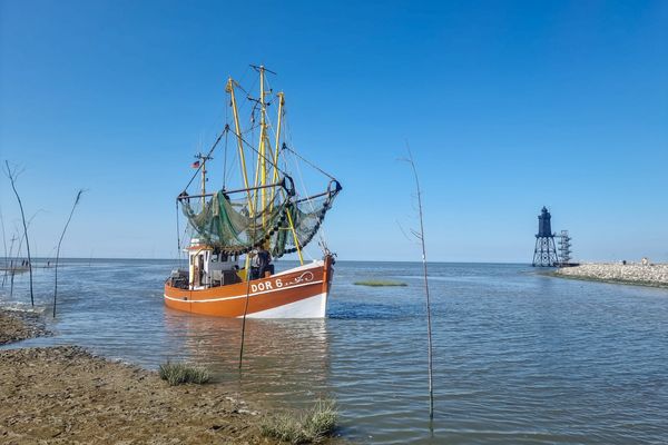 Strand, Nordseeglück Cappel, Wurster Küste