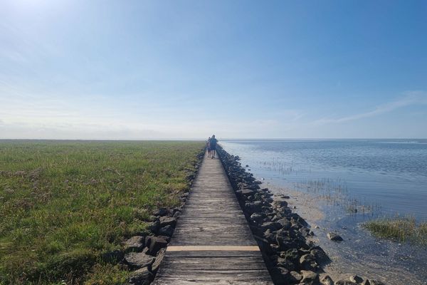 Landschaft, Nordseeglück Cappel, Wurster Küste