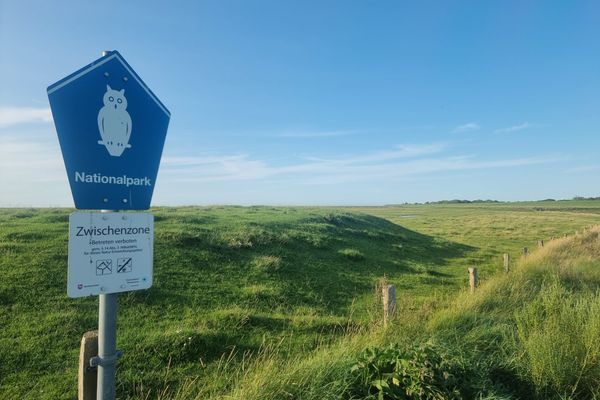 Landschaft, Nordseeglück Cappel, Wurster Küste