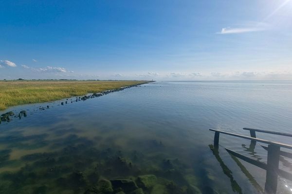 Landschaft, Nordseeglück Cappel, Wurster Küste