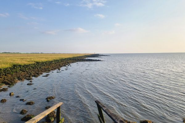 Landschaft, Nordseeglück Cappel, Wurster Küste
