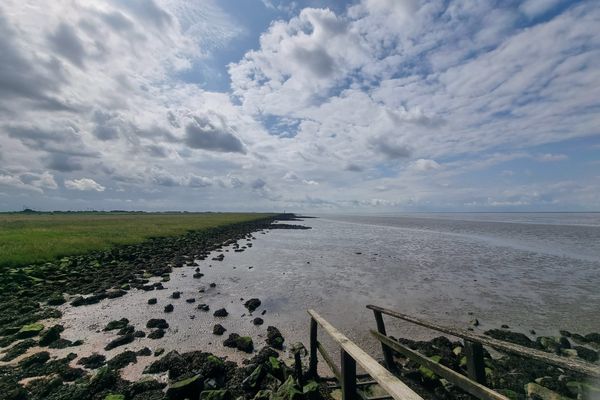 Landschaft, Nordseeglück Cappel, Wurster Küste