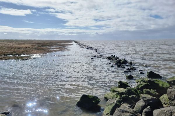 Landschaft, Nordseeglück Cappel, Wurster Küste