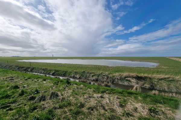 Landschaft, Nordseeglück Cappel, Wurster Küste