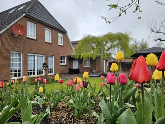 Foto 15 Ferienwohnung Ostfriesland Norddeich & Umgebung Ferienwohnung Buhne 2 Norddeich (Objekt 73089) Reise