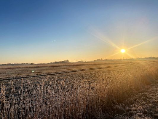 Landschaft