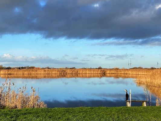 Gartenblick
