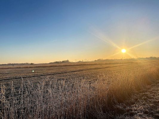 Landschaft