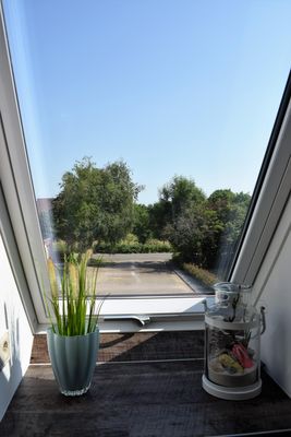 Gartenblick