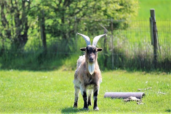 Gartenblick