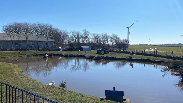 Gartenblick