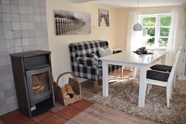 Kamin-/Ofen