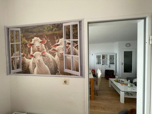 Foto 5 Ferienwohnung Ostfriesland Friesland Tief 10 mit beheiztem Pool - Meeresstern  Internet 504 (Objekt 26302) Reise