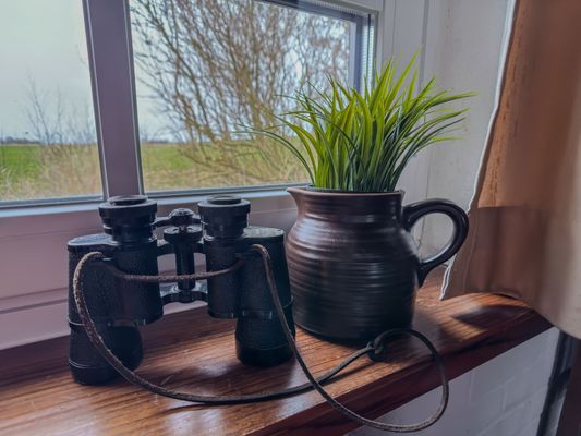 Foto 18 Ferienhaus Ostfriesland Friesland Haus Küstersmatt am Deich - Minsen (Objekt 26213) Nordsee