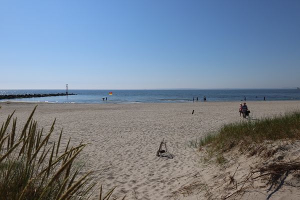 Strand