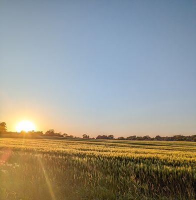 Landschaft