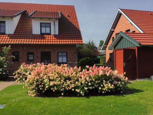 Foto 12 Ferienwohnung Ostfriesland Borkum Feriendorf Marienhof A5 Wulkje (Objekt 74556) suchen