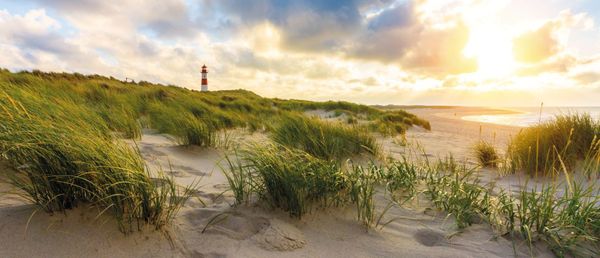 Foto 32 Ferienhaus Ostfriesland Dornum & Umgebung Ferienhaus Deichkrone (Objekt 76006) suchen