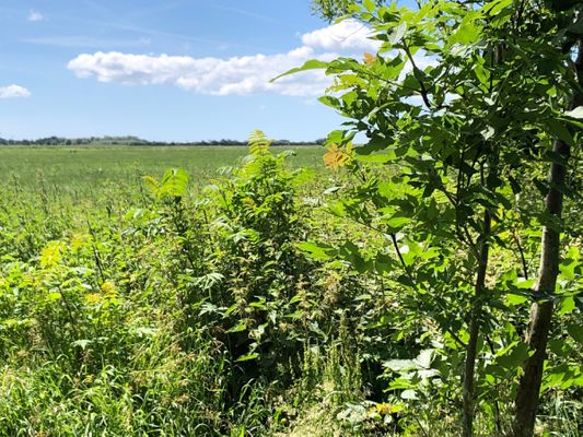 Landschaft
