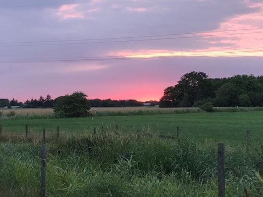 Landschaft