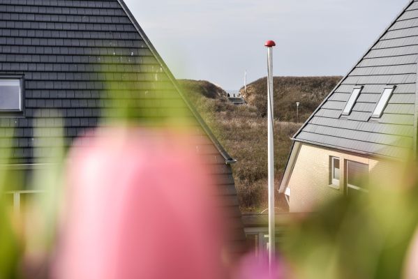 Foto 11 Ferienwohnung Ostfriesland Sylt Ferienwohnung Mare Nostrum 12 (Objekt 62045) buchen