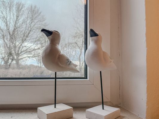 Foto 35 Ferienwohnung Ostfriesland Carolinensiel FeWo Fernblick - Javenloch (Objekt 36384) Reise