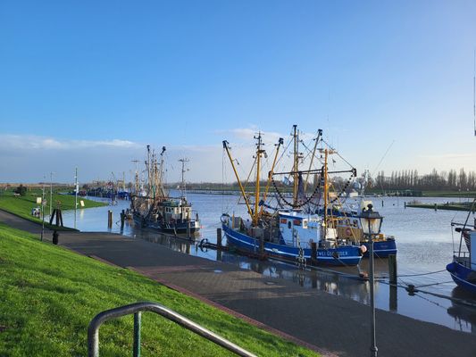 Foto 46 Ferienhaus Ostfriesland Krummhörn & Umgebung Ferienhaus Stiena (Objekt 59264) buchen