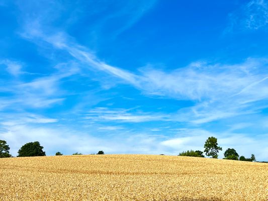 Landschaft