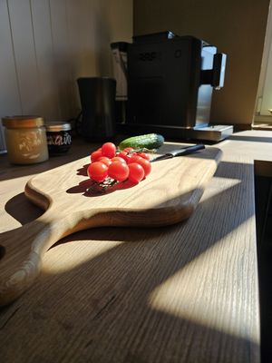 Foto 8 Ferienhaus Ostfriesland Krummhörn & Umgebung Ferienhaus Mühle 7 (Objekt 75293) Nordsee